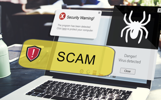 宾州女子惨遭假网站骗局,超10万美元血本无归